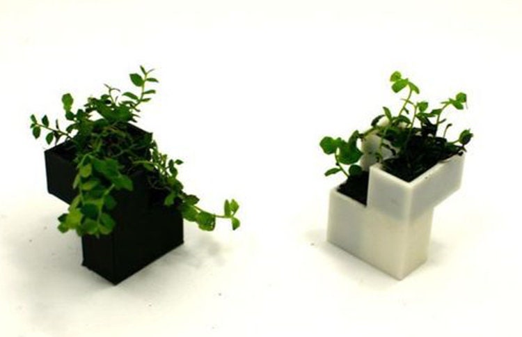 Chess Set Succulents Planter with Compact 4 Piece Board