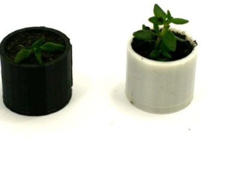 Chess Set Succulents Planter with Compact 4 Piece Board