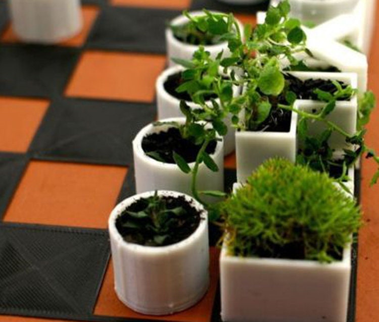 Chess Set Succulents Planter with Compact 4 Piece Board