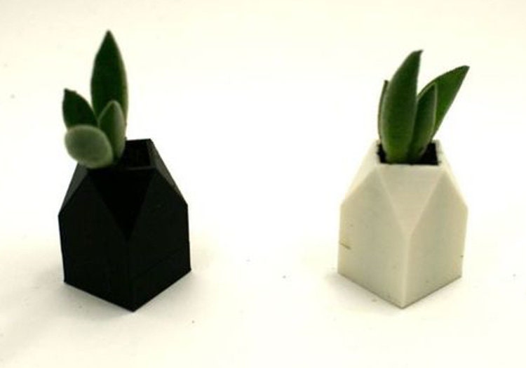 Chess Set Succulents Planter with Compact 4 Piece Board