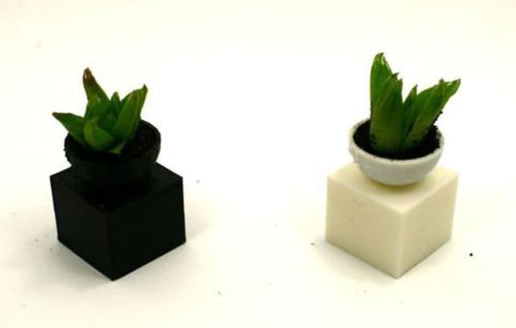 Chess Set Succulents Planter with Compact 4 Piece Board